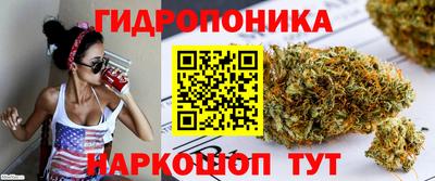 a pvp Кандалакша