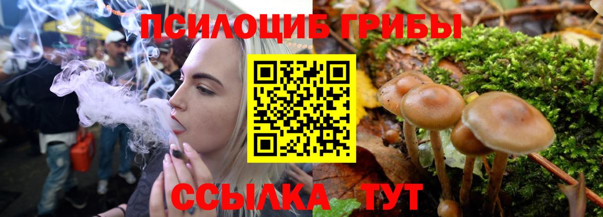 Ялта  Галлюциногенные грибы Psilocybine cubensis  Вход с VPN  Псилоцибиновые грибы GOLDEN TEACHER 
